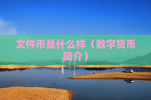 文件币是什么样（数字货币简介）