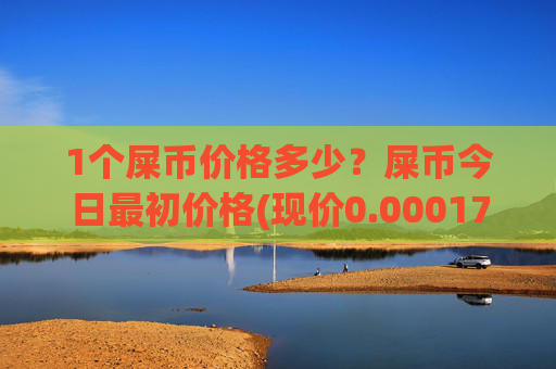 1个屎币价格多少？屎币今日最初价格(现价0.00017127元)