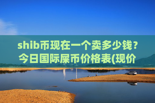 shib币现在一个卖多少钱？今日国际屎币价格表(现价0.0001731元)