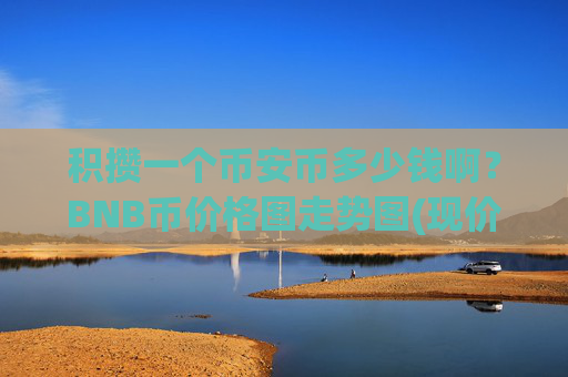 积攒一个币安币多少钱啊？BNB币价格图走势图(现价5031.17元)