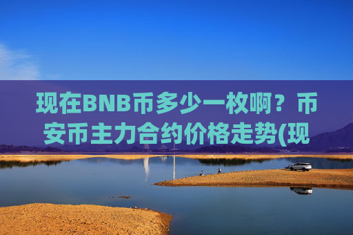 现在BNB币多少一枚啊？币安币主力合约价格走势(现价5005.85元)