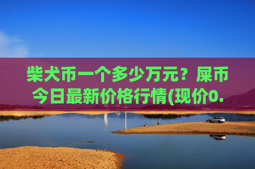 柴犬币一个多少万元？屎币今日最新价格行情(现价0.00017295元)