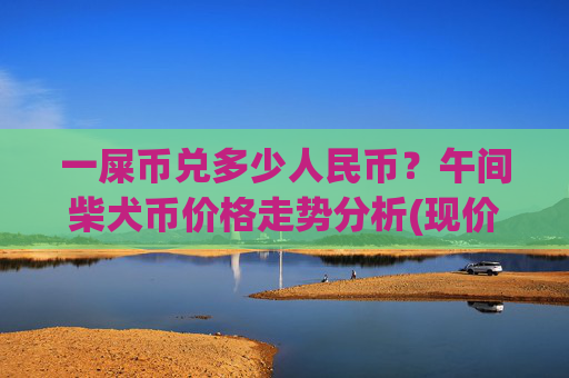 一屎币兑多少人民币？午间柴犬币价格走势分析(现价0.00016515元)