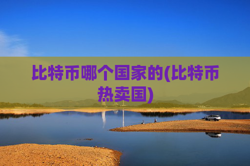 比特币哪个国家的(比特币热卖国)
