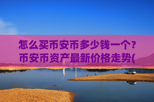 怎么买币安币多少钱一个？币安币资产最新价格走势(现价5031.46元)