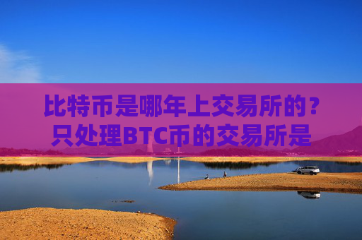 比特币是哪年上交易所的？只处理BTC币的交易所是