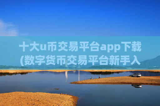 十大u币交易平台app下载(数字货币交易平台新手入门)
