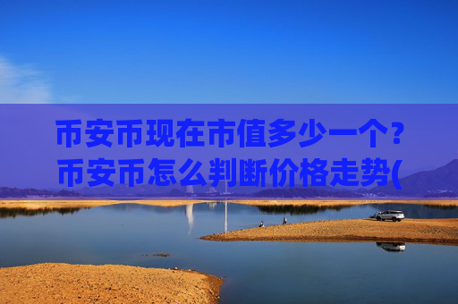 币安币现在市值多少一个?币安币怎么判断价格走势(现价4994.62元)