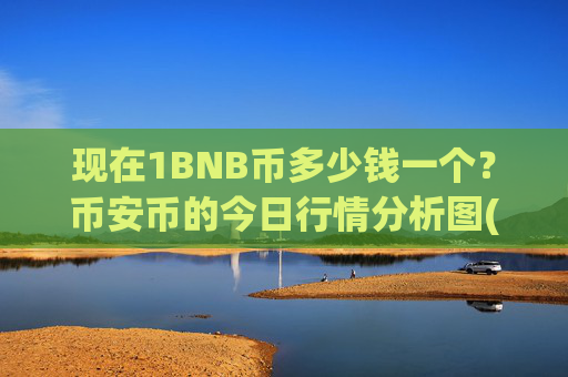 现在1BNB币多少钱一个？币安币的今日行情分析图(现价4960.41元)