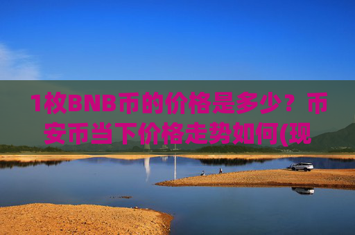 1枚BNB币的价格是多少？币安币当下价格走势如何(现价4836.41元)