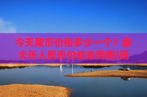 今天屎币价格多少一个？柴犬币人民币价格走势图(现价0.00016449元)