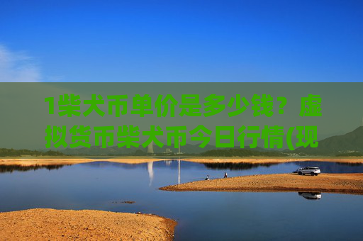 1柴犬币单价是多少钱？虚拟货币柴犬币今日行情(现价0.00016493元)