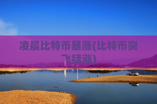 凌晨比特币暴涨(比特币突飞猛涨)
