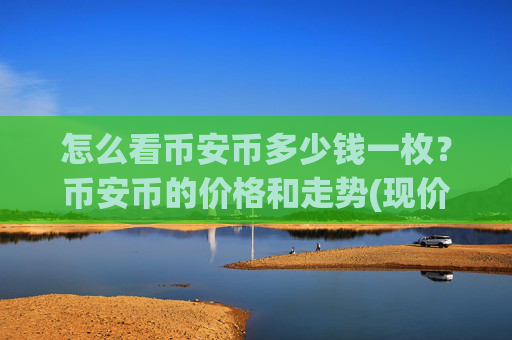 怎么看币安币多少钱一枚？币安币的价格和走势(现价4965.74元)