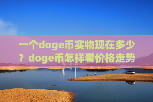一个doge币实物现在多少？doge币怎样看价格走势(现价2.3713元)