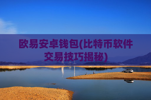 欧易安卓钱包(比特币软件交易技巧揭秘)