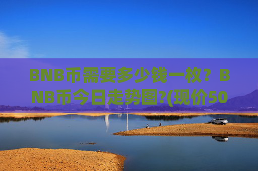 BNB币需要多少钱一枚？BNB币今日走势图?(现价5001.77元)