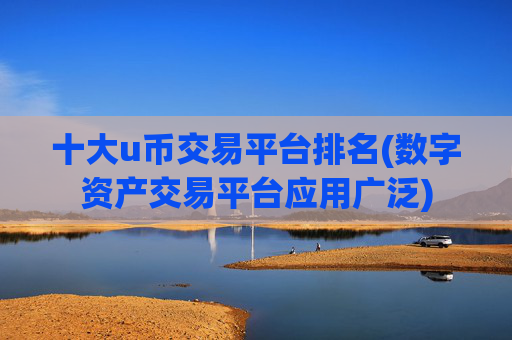 十大u币交易平台排名(数字资产交易平台应用广泛)