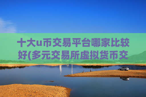 十大u币交易平台哪家比较好(多元交易所虚拟货币交易)