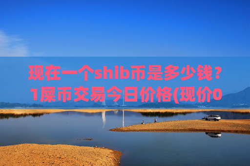 现在一个shib币是多少钱？1屎币交易今日价格(现价0.00016522元)