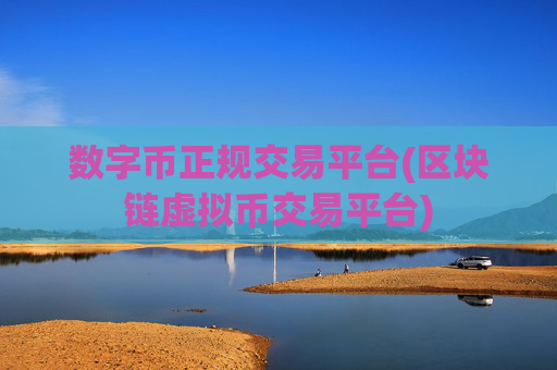 数字币正规交易平台(区块链虚拟币交易平台)