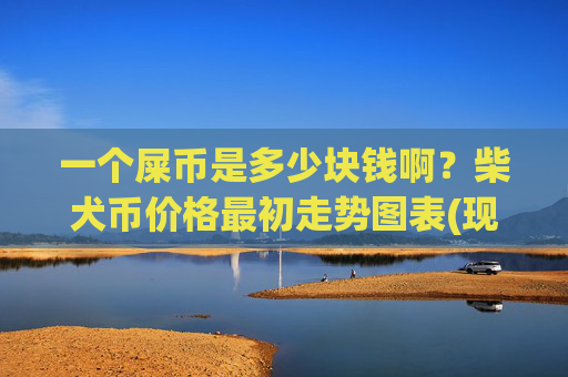 一个屎币是多少块钱啊？柴犬币价格最初走势图表(现价0.00016478元)