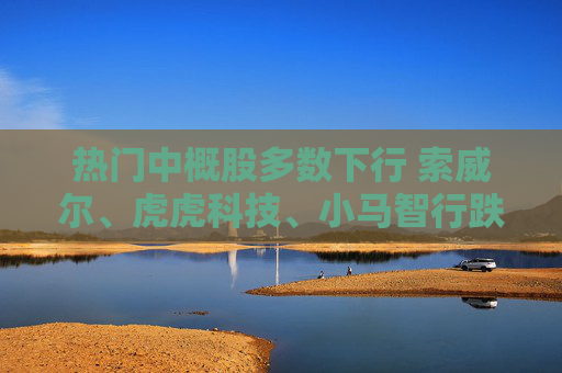 热门中概股多数下行 索威尔、虎虎科技、小马智行跌超6%