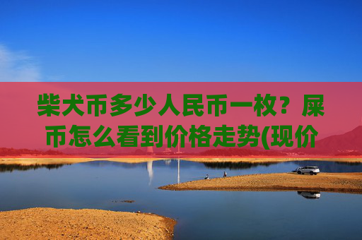 柴犬币多少人民币一枚？屎币怎么看到价格走势(现价0.00016536元)