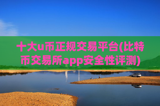 十大u币正规交易平台(比特币交易所app安全性评测)