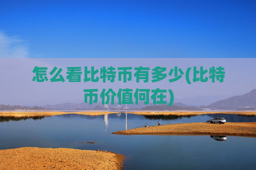 怎么看比特币有多少(比特币价值何在)