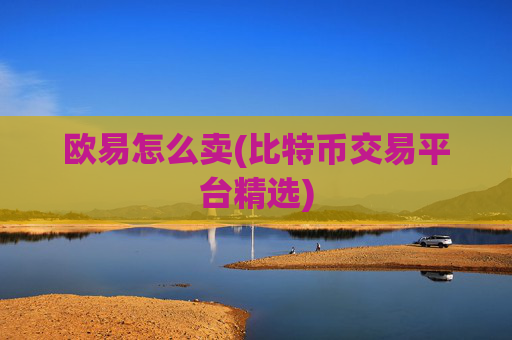 欧易怎么卖(比特币交易平台精选)