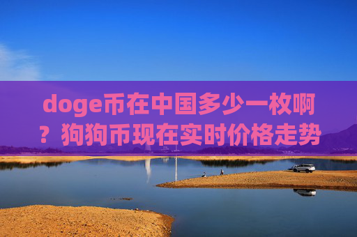doge币在中国多少一枚啊？狗狗币现在实时价格走势(现价2.381元)