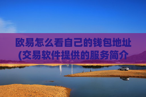 欧易怎么看自己的钱包地址(交易软件提供的服务简介)