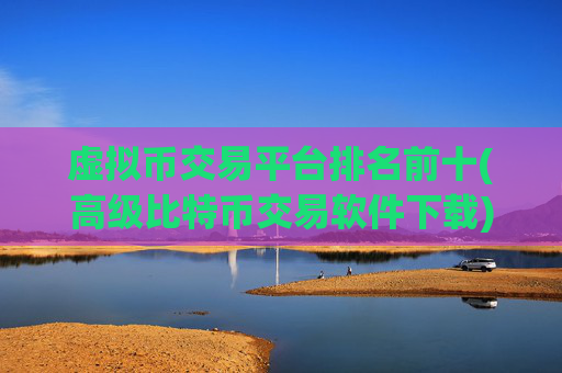 虚拟币交易平台排名前十(高级比特币交易软件下载)