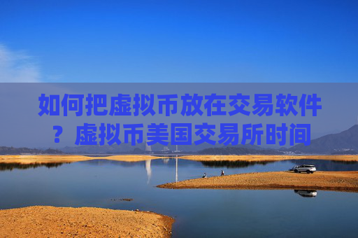 如何把虚拟币放在交易软件？虚拟币美国交易所时间