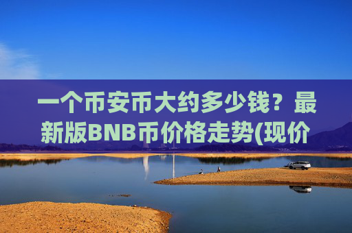 一个币安币大约多少钱？最新版BNB币价格走势(现价4993.24元)