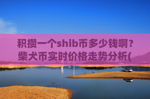 积攒一个shib币多少钱啊？柴犬币实时价格走势分析(现价0.00016529元)