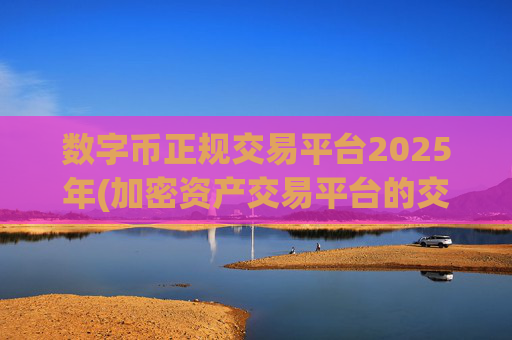 数字币正规交易平台2025年(加密资产交易平台的交易规则)