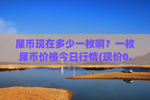 屎币现在多少一枚啊？一枚屎币价格今日行情(现价0.00016587元)