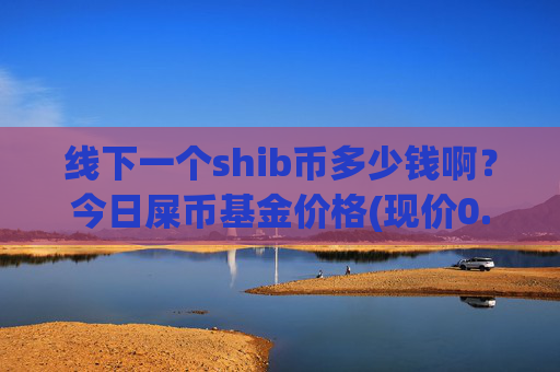 线下一个shib币多少钱啊？今日屎币基金价格(现价0.0001658元)