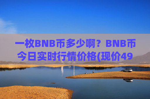 一枚BNB币多少啊?BNB币今日实时行情价格(现价4975.87元)