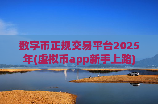 数字币正规交易平台2025年(虚拟币app新手上路)