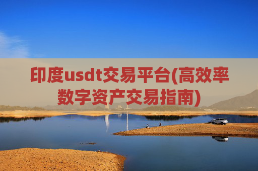 印度usdt交易平台(高效率数字资产交易指南)