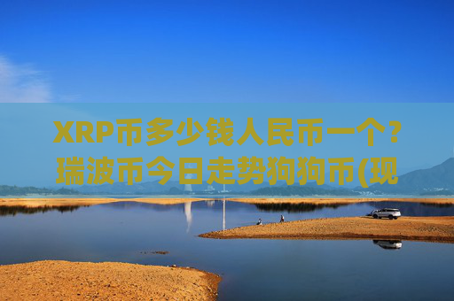 XRP币多少钱人民币一个？瑞波币今日走势狗狗币(现价16.6203元)