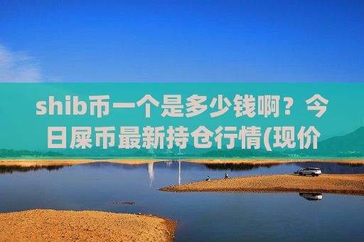 shib币一个是多少钱啊？今日屎币最新持仓行情(现价0.00016533元)